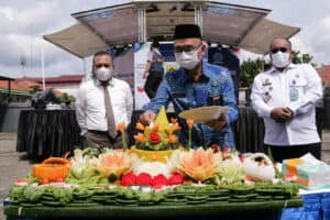 Puncak Perayaan HUT BNN Ke-20 BNNK Bogor Melaksanakan kegiatan Pencanangan Zona Integritas, Pagelaran Seni budaya serta talkshow dan Donor Darah di Lingkungan BNNK Bogor